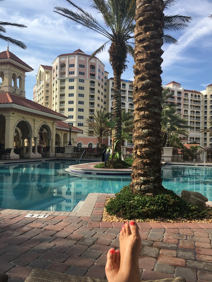 blog florida 16